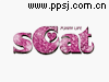 SCAT